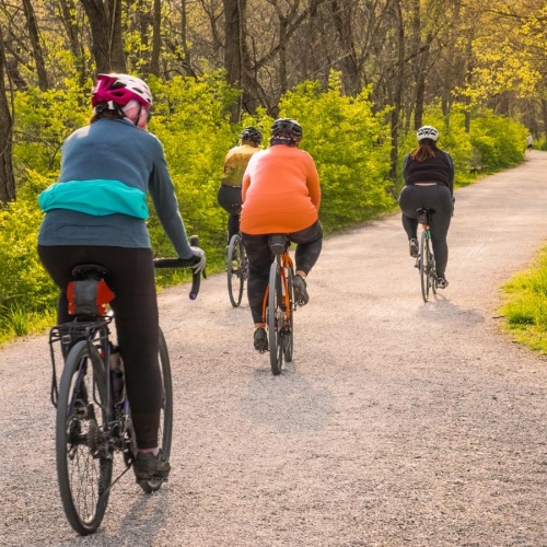 a group of people riding bikes on a path in the woods